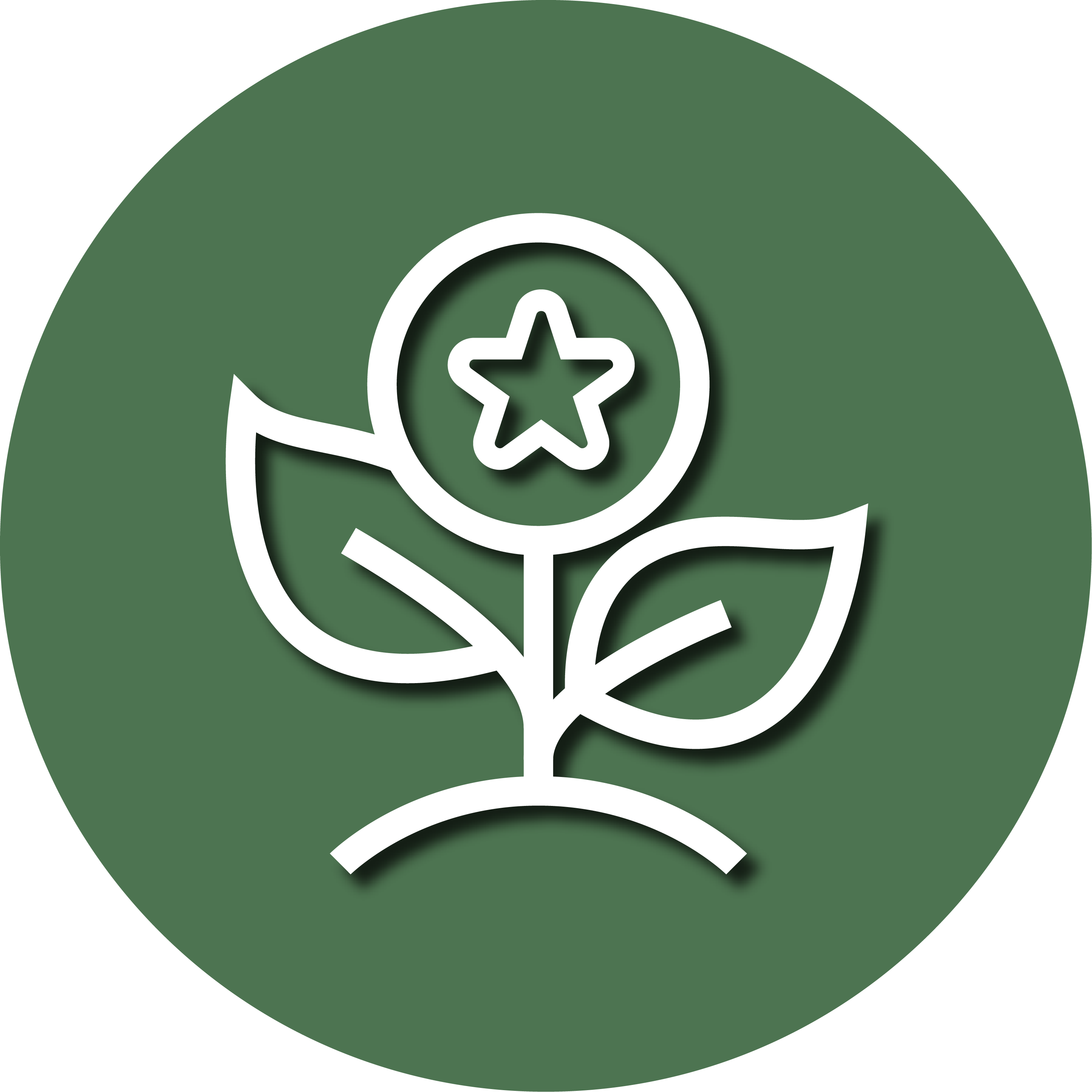 Leaves Icon